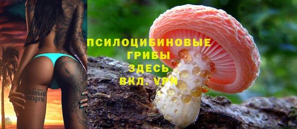 прущие крисы Пестово