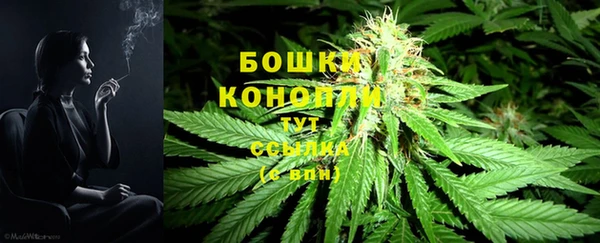 бошки Пересвет