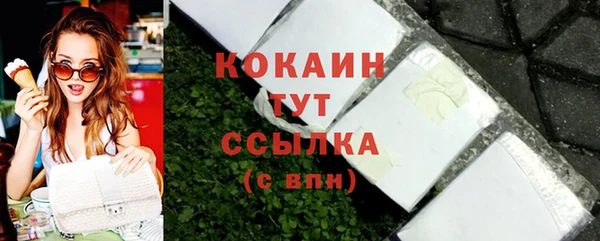 бошки Пересвет